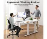 Dual monitor gas spring desk mount in an office workspace