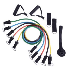 Resistance Band Set with Handles, Ankle Straps & Carry Bag