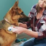 Electric Pet Grooming & Hair Removal Comb for Dogs & Cats